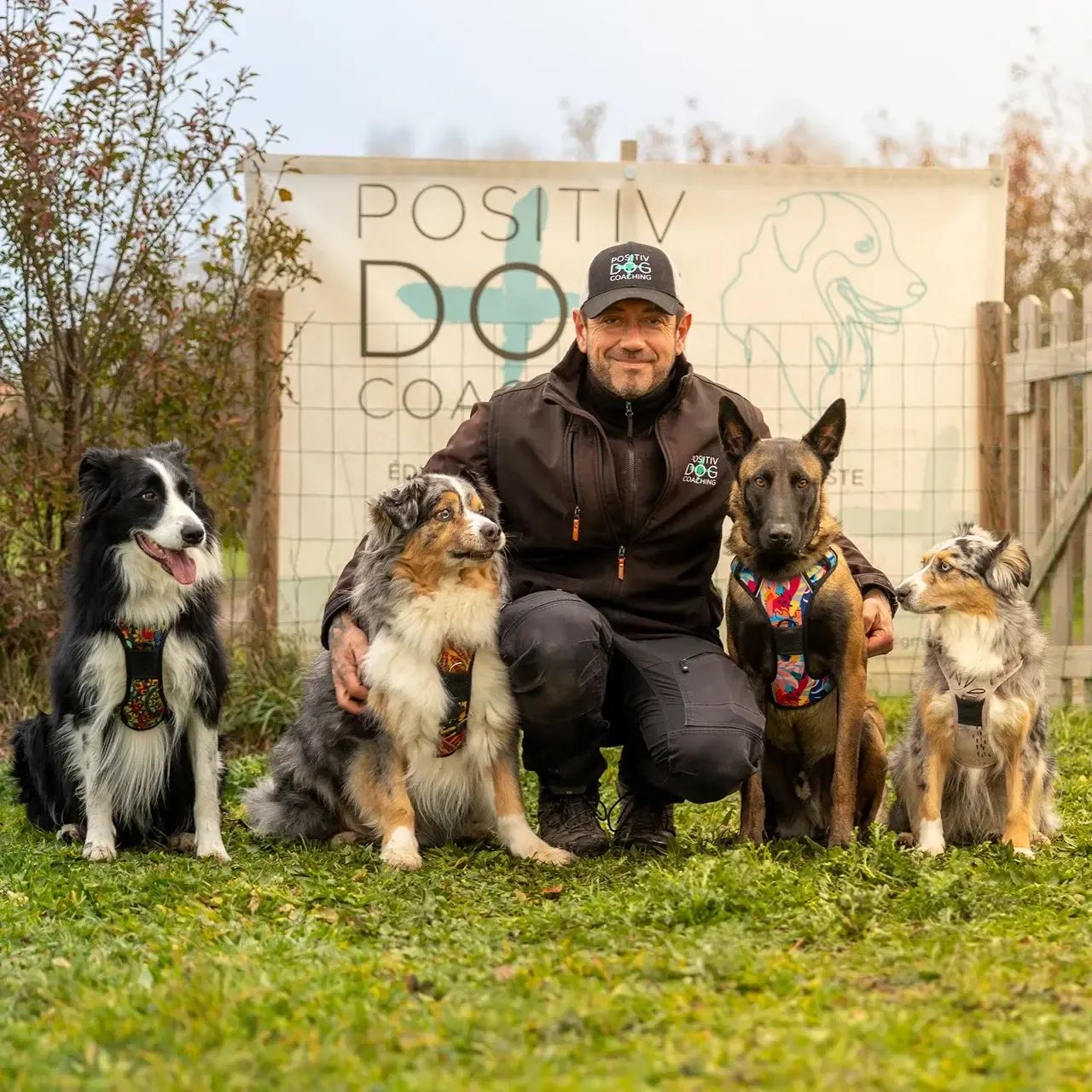 Comment choisir son éducateur canin dans la Loire : le guide complet