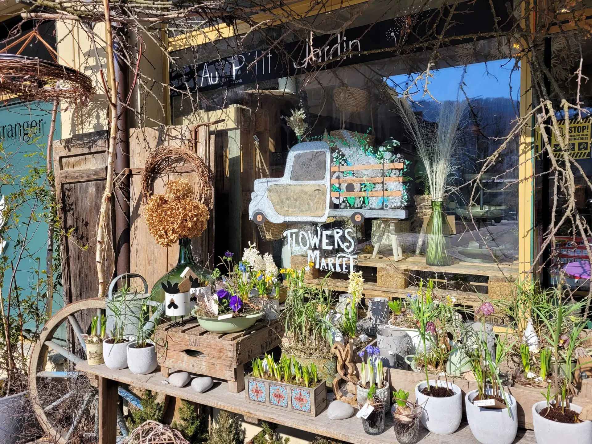 Devanture d’Au P’tit Jardin à Moudon, plantes en pots sur des tréteaux devant la vitrine