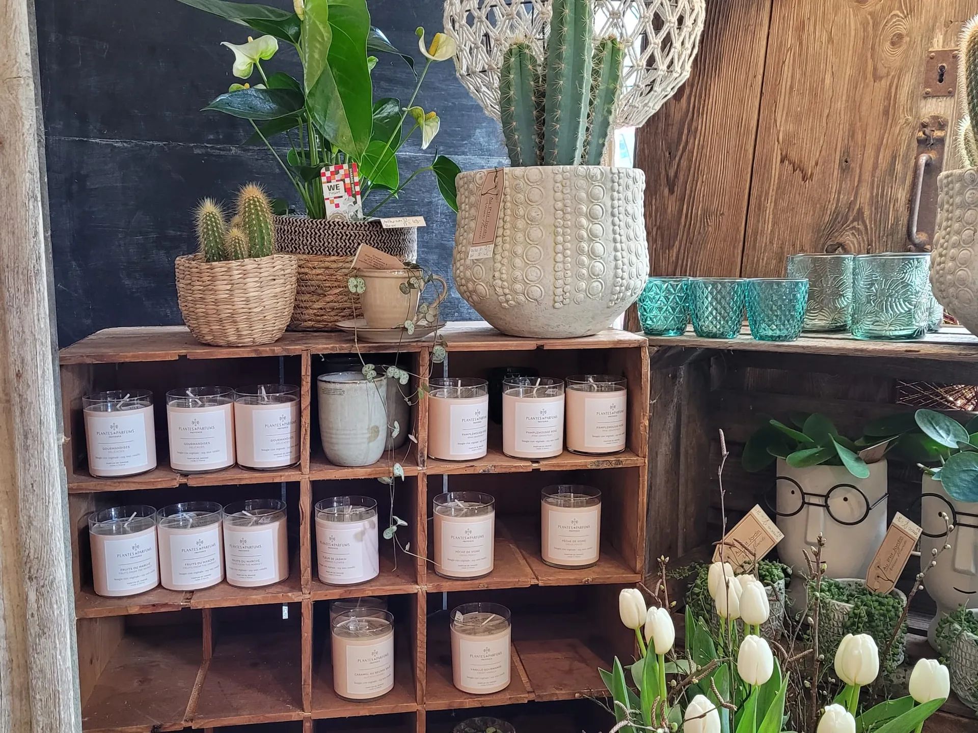 Étagère en bois garnie de bougies, cactus et objets de décoration