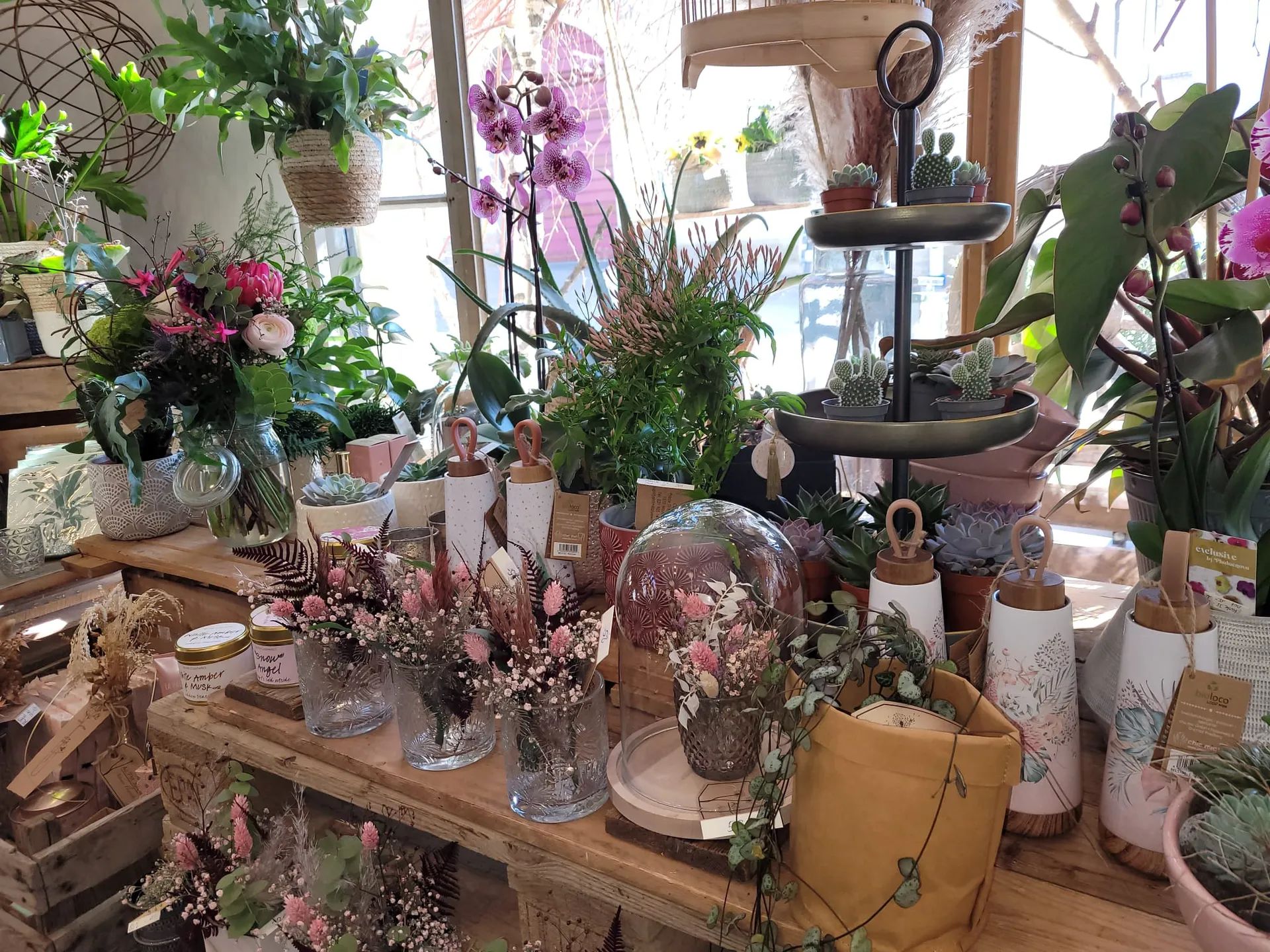 Compositions de fleurs et plantes sur une table de la boutique, près de la vitrine